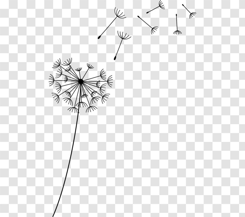 Drawing Of Family - Daisy - Wildflower Plant Stem Transparent PNG