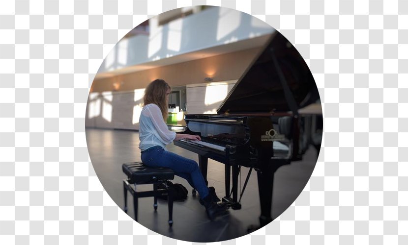 Meander Medical Center Reflectie Van De Ziel • Caroline Schmitt Player Piano Theatre - Table Transparent PNG