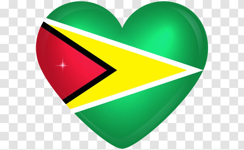 Flag Of Guyana National - Cartoon Transparent PNG