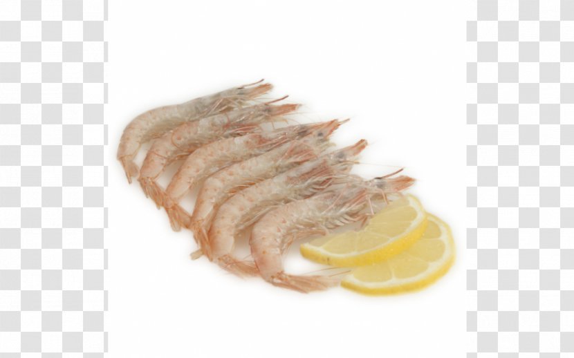 Fish Slice Shellfish Shrimp Norway Lobster Cooking - Seafood Transparent PNG
