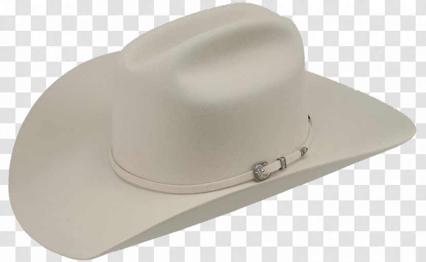 Cowboy Hat Stetson Suit - Fur Clothing Transparent PNG