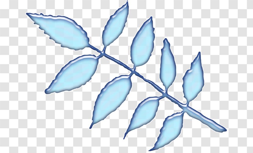 Clip Art Leaf Petal Flowering Plant Line - Branching - Leaves Hand Painted Transparent PNG