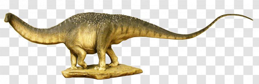 Apatosaurus Brontosaurus Reptile Sauropods Dinosaur - Tyrannosaurus Transparent PNG