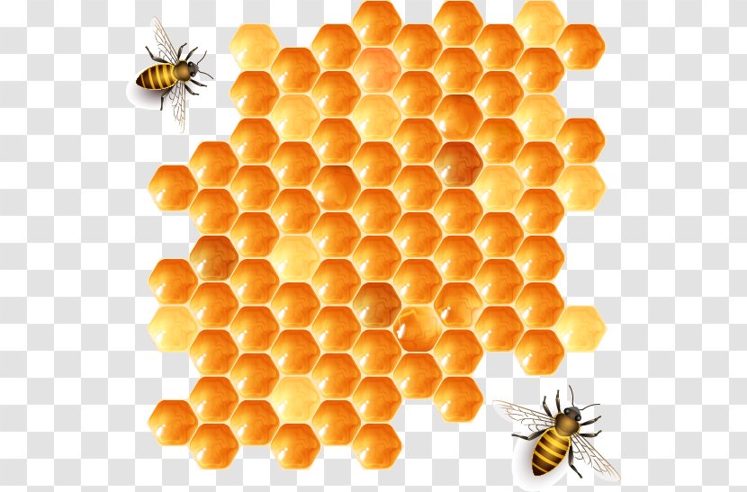 Beehive Honeycomb Honey Bee - Vector Transparent PNG