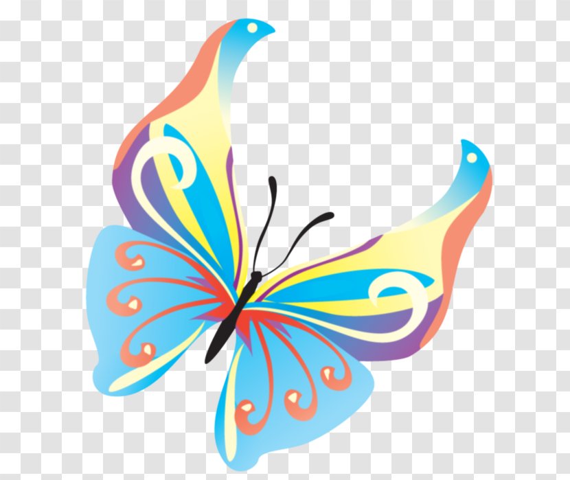 Butterfly Moths And Butterflies Clip Art Wing Insect - Pollinator Transparent PNG
