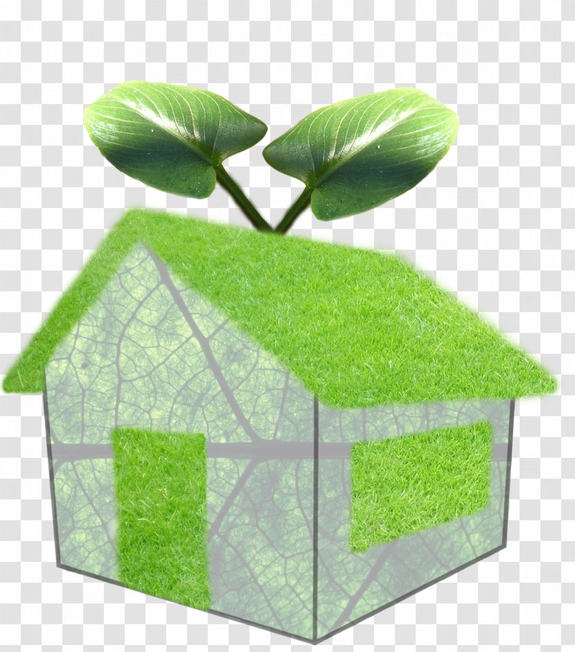 Green Home House Building Environmentally Friendly - Architectural Engineering Transparent PNG