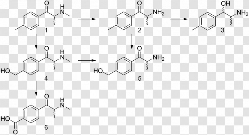 Phenylalanine Substituted Phenethylamine Tyrosine Amino Acid - White - Atom Transparent PNG