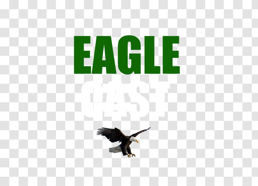 Eagle Transmission And Auto Repair Car Logo Experience Rio De Janeiro - Lewisville Transparent PNG