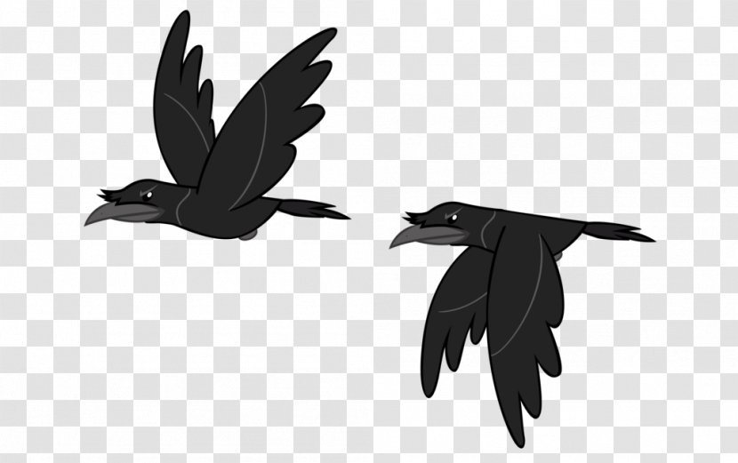 Bird Rook Crow Clip Art Image - My Little Pony Friendship Is Magic - Flying Hooded Transparent PNG