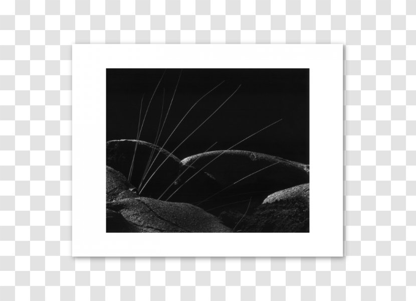Picture Frames White Black M - And - Volcanic Rock Transparent PNG