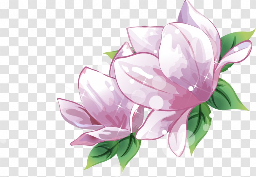 Floral Design Purple - Plant - Hand-painted Lotus Transparent PNG