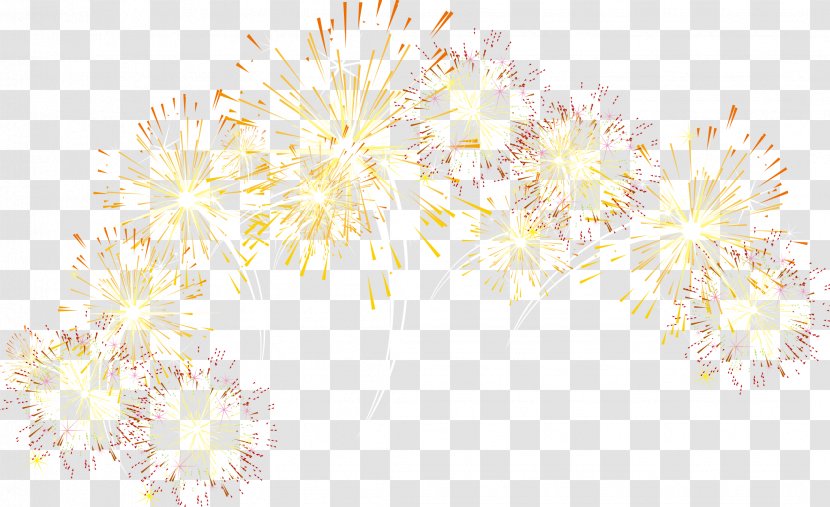 Floral Design Yellow Pattern - Floristry - Beautiful Fireworks Transparent PNG