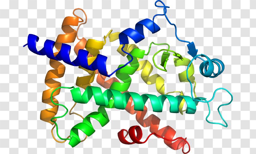 Clip Art Nucleic Acid Protein Structure Amino - Artwork Transparent PNG