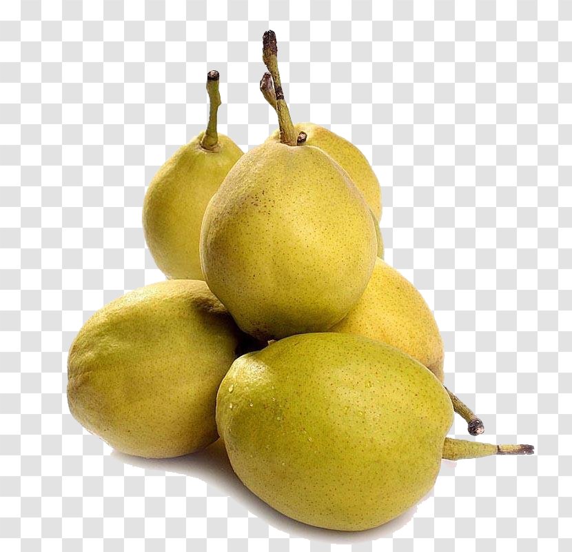 Pear Fruit Lemon Food - Korla Transparent PNG