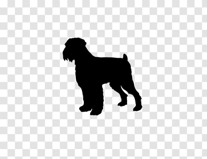 Miniature Schnauzer Affenpinscher Schnoodle Dog Breed Puppy - Terrier Transparent PNG