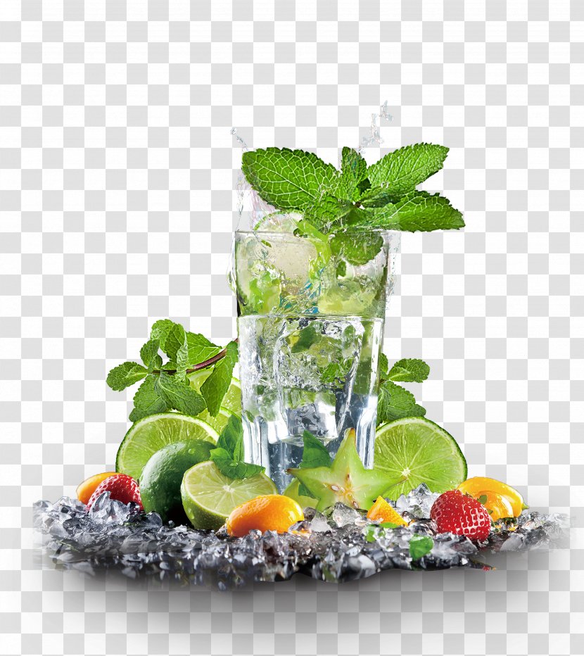 Maghrebi Mint Tea Juice Iced Lemon - Julep Transparent PNG