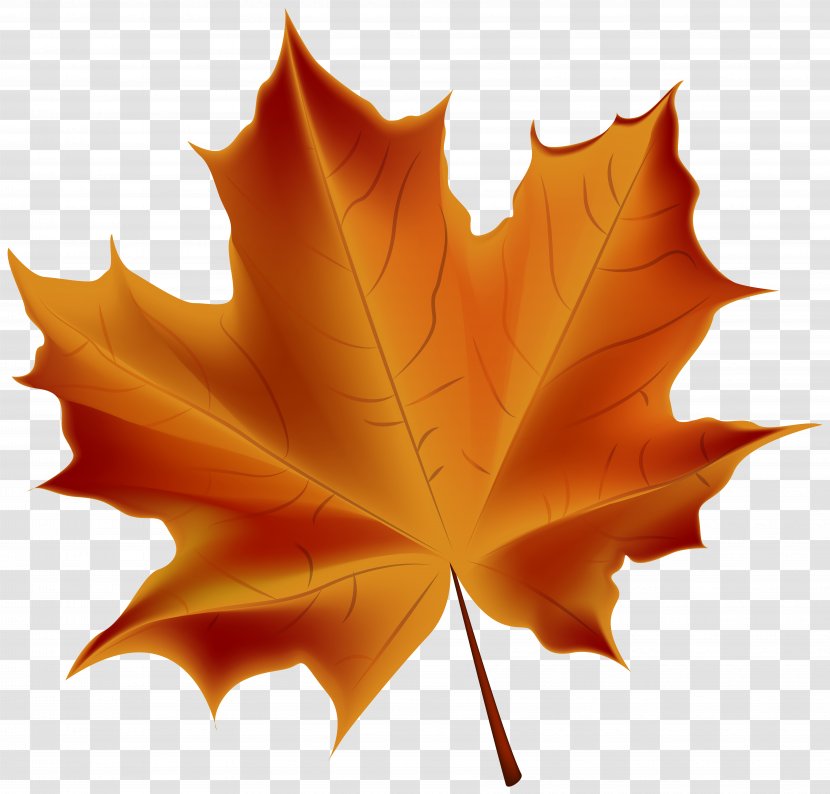 Autumn Leaf Color Clip Art - Leaves Transparent PNG