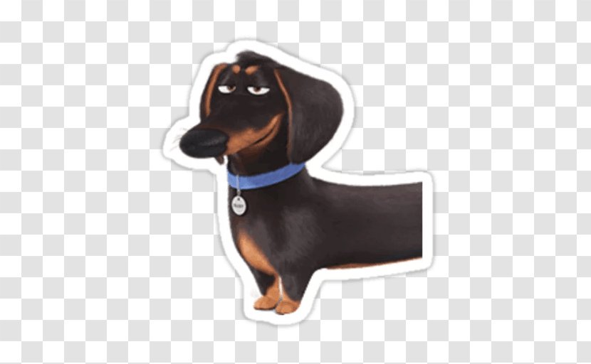 Dachshund Gidget Buddy Jack Russell Terrier The Secret Life Of Pets - Dog - 2 Collider Transparent PNG