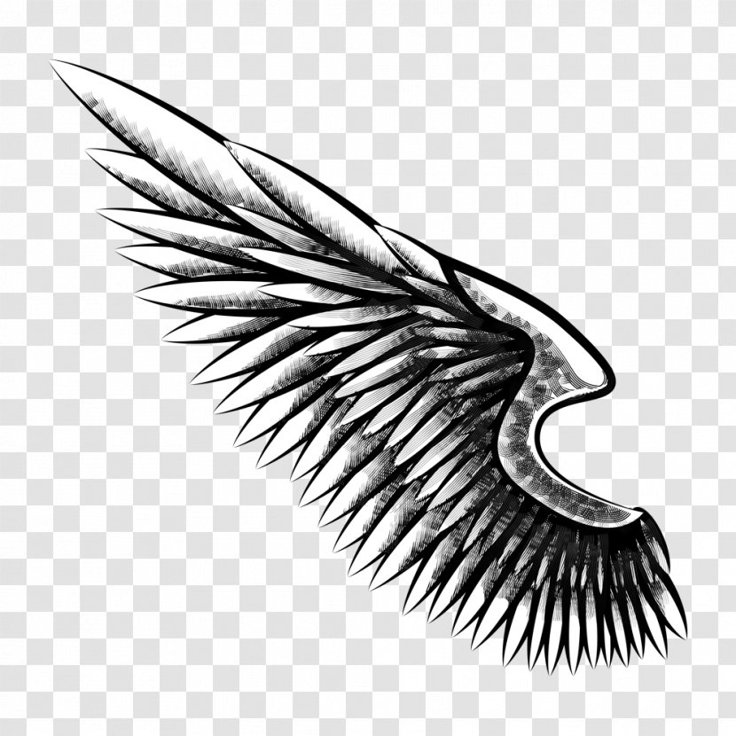 Firearm Gun Drawing Sketch - Eagle - Wings Tattoo Transparent PNG