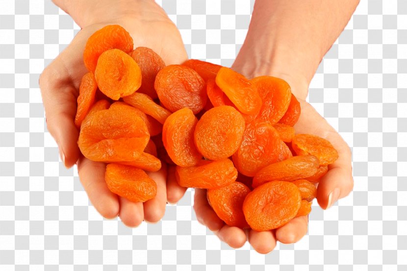 Dried Apricot Fruit - Vegetable - Holding Nut Apricots Transparent PNG