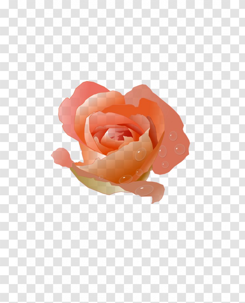 Peach Rose Flower Clip Art - Flowering Plant - Small Logs Cliparts Transparent PNG