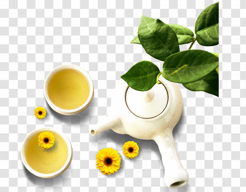 Green Tea Chrysanthemum Teapot Japanese Ceremony - Food - Elements Transparent PNG