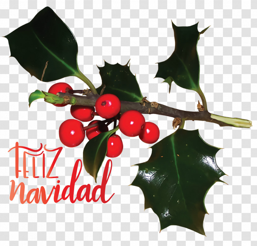 Feliz Navidad Merry Christmas Transparent PNG