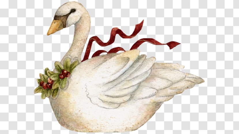 Goose Bird Black Swan Christmas Clip Art - Winter Cliparts Transparent PNG
