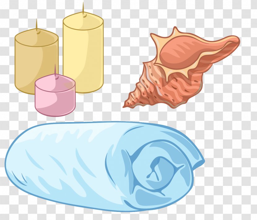 Euclidean Vector - Jaw - Hand-painted Candle Is Wound Conch Transparent PNG