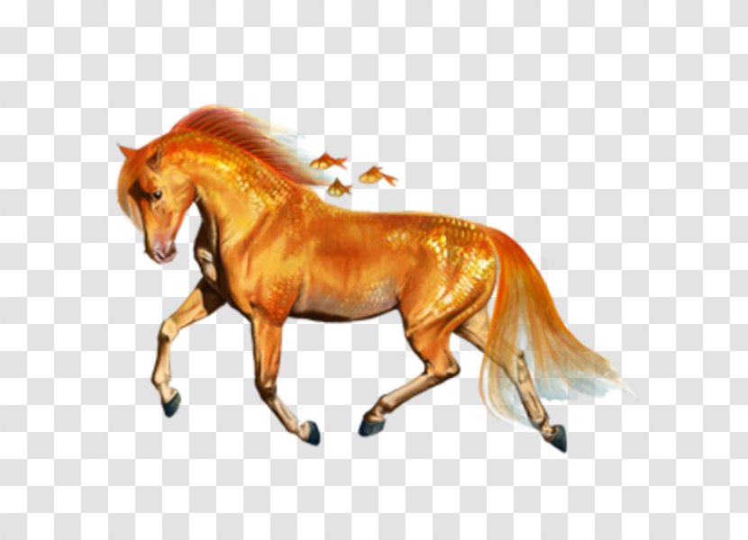 Mane Pony Howrse Mustang Drawing - Legendary Creature Transparent PNG