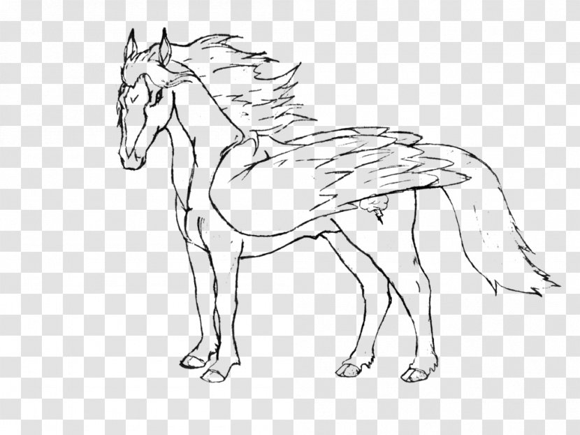 Mustang Pony Bridle Drawing Pack Animal Transparent PNG