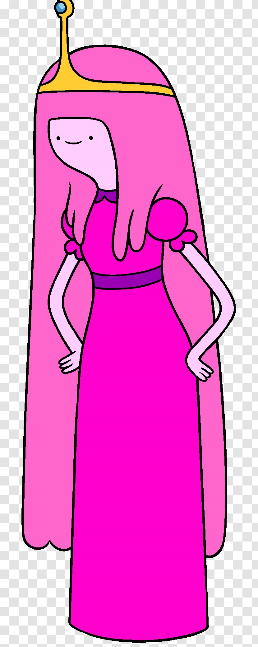 Ice King Jake The Dog Finn Human Princess Bubblegum Marceline Vampire Queen - Flower - Adventure Time Transparent PNG