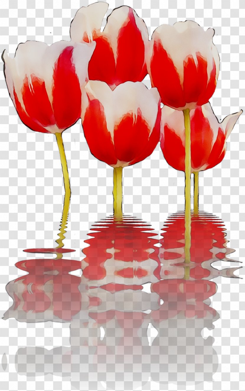 Tulip Garden Roses Cut Flowers Petal - Heart Transparent PNG