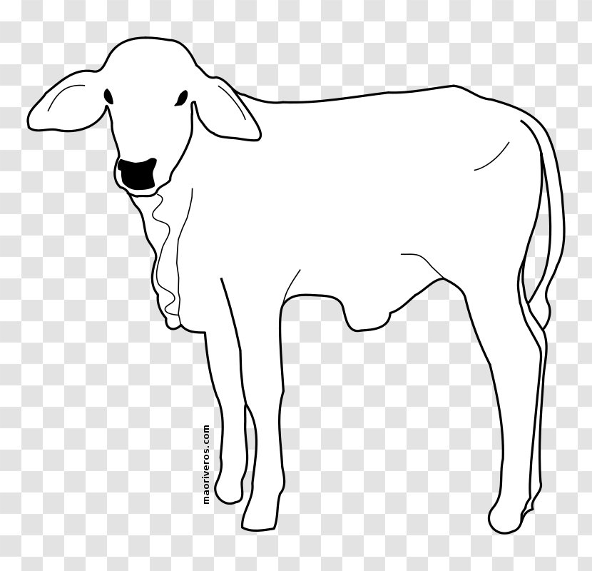 Sheep Clip Art Drawing Baka Vector Graphics - Silhouette Transparent PNG