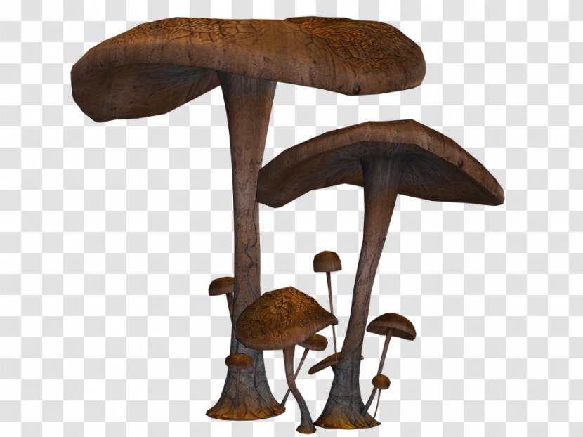 Mushroom Fungus - Mushrooms Transparent PNG