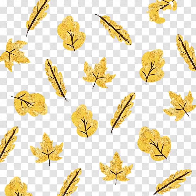 Cut Flowers Leaf Plant Stem Grasses Petal Transparent PNG