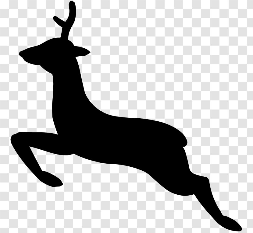 White-tailed Deer Silhouette Clip Art - Line Transparent PNG