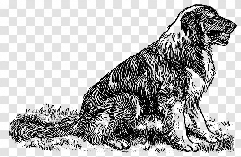 Russian Spaniel Dog Breed Sporting Group Setter - Organism Transparent PNG