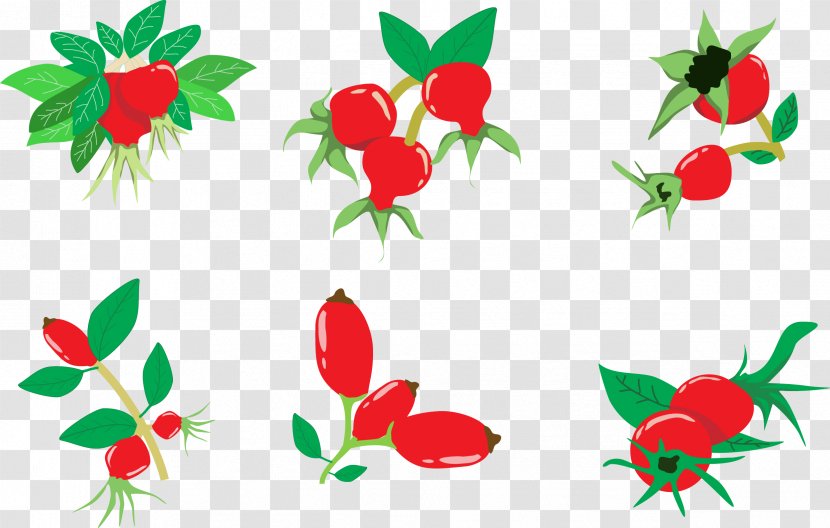 Rose Illustration - Food - Vector Transparent PNG