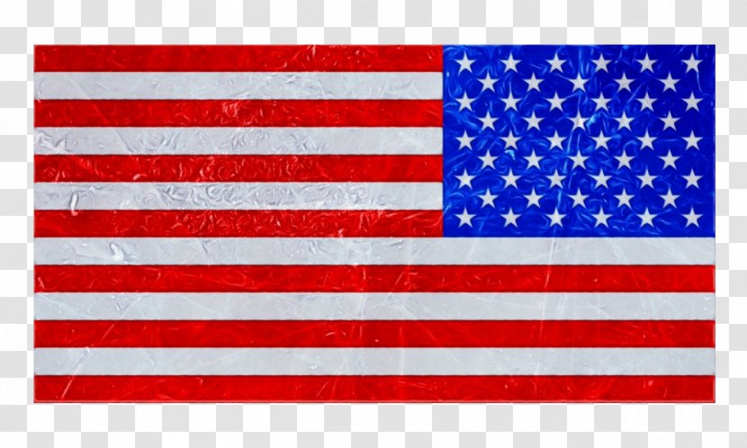 Flag Of The United States Palisades Center Apollo 11 Space - Nasa Transparent PNG