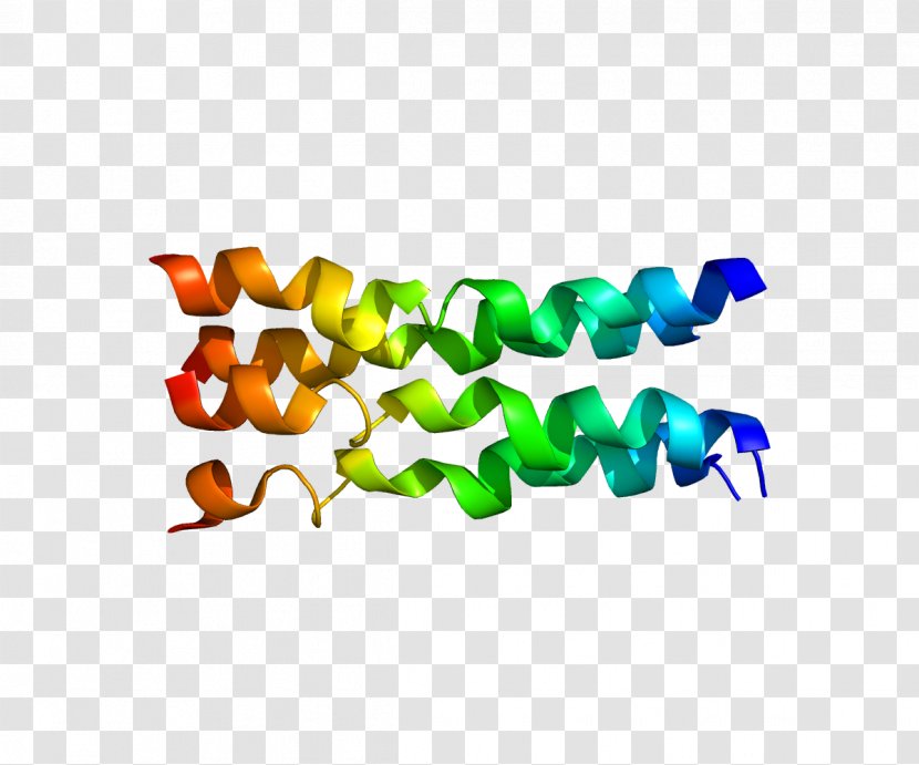 FXYD Family FXYD1 Protein Gene FXYD3 - Text - Organism Transparent PNG