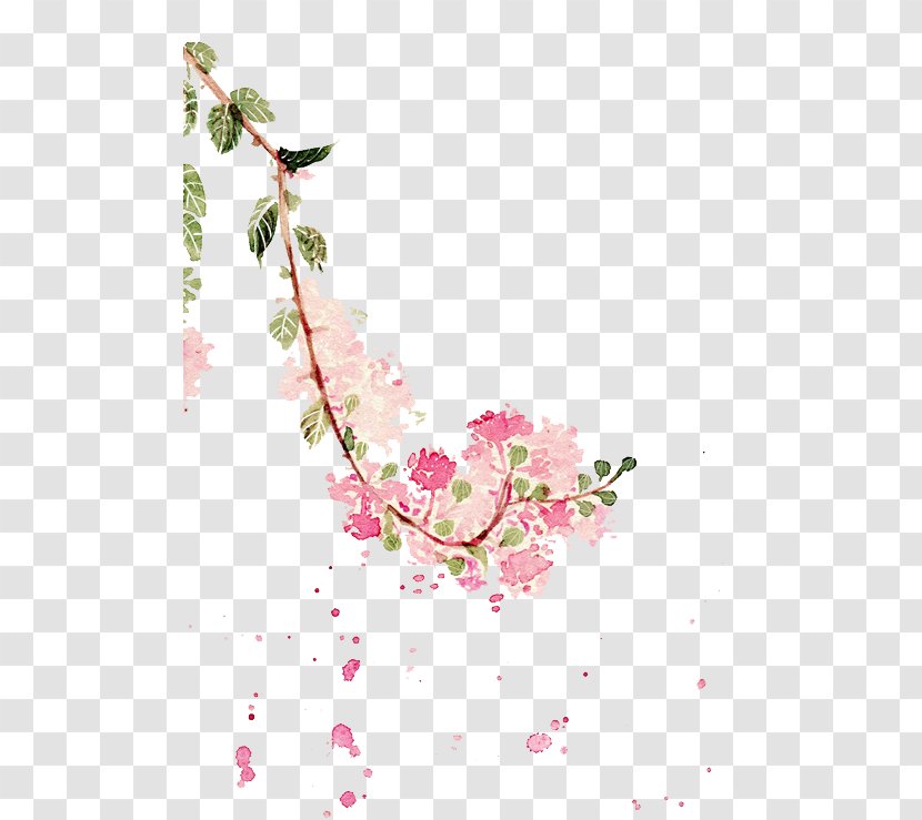 Watercolor Painting Crepe-myrtle Illustration - Crepemyrtle - Flowers Transparent PNG