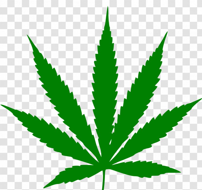 Hash, Marihuana & Hemp Museum Cannabis Sativa Medical Marijuana - Leaf Border Transparent PNG