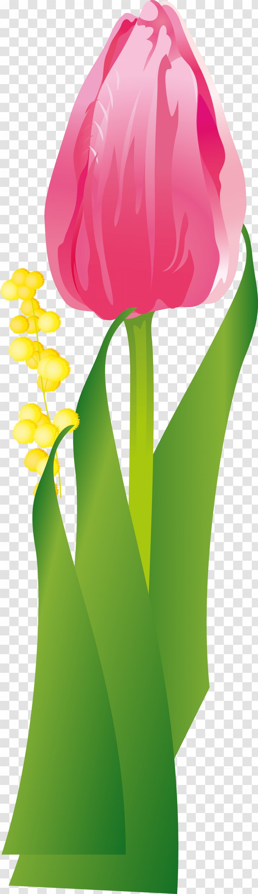 Flower Leaf - Tulip Transparent PNG