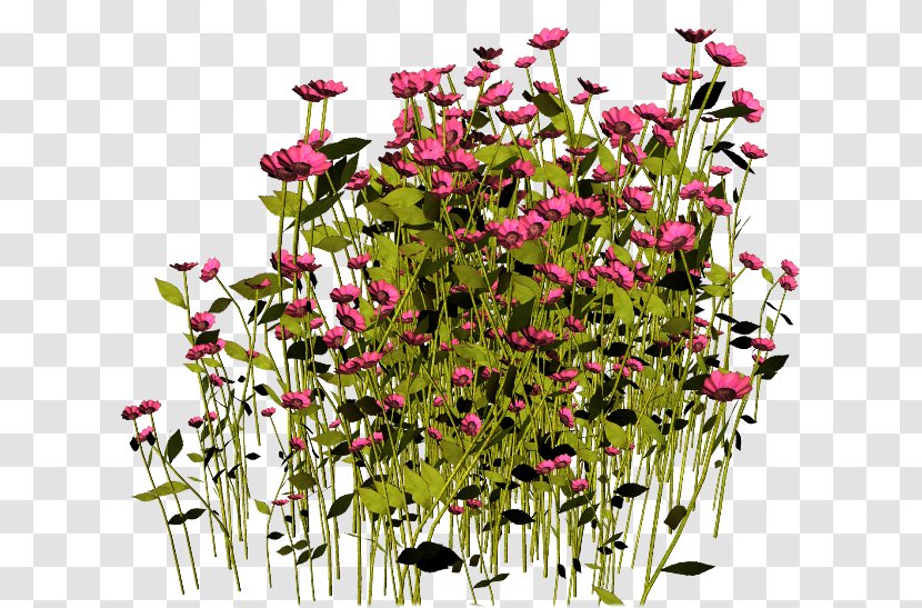 Flower Floral Design Image Clip Art - Flowering Plant Transparent PNG