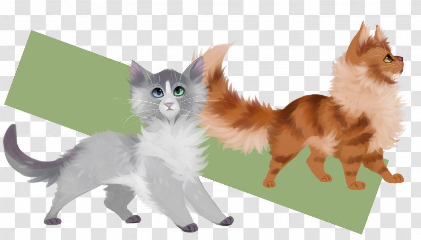 Cat Kitten Whiskers Dog Mammal - Carnivoran - Painted Transparent PNG