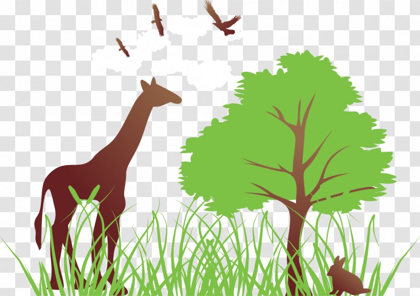 Tree Clip Art - Vertebrate - Vector Giraffe Eating Leaves Transparent PNG