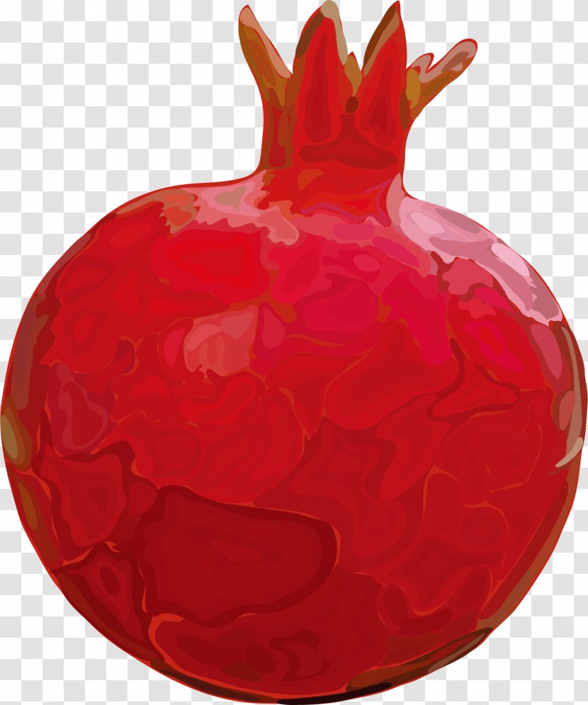 Fruit Pomegranate Euclidean Vector - Shutterstock Transparent PNG