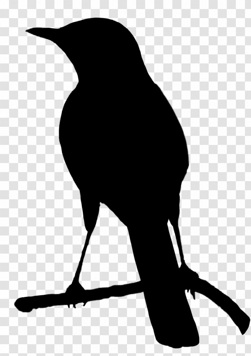 Bird Crows Parrot Silhouette Clip Art - Common Blackbird - Silhouettes Transparent PNG