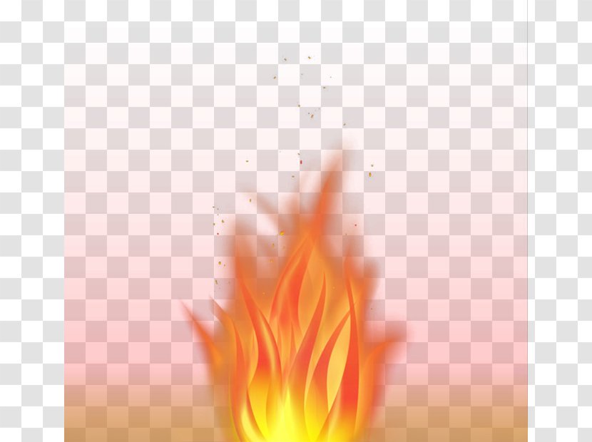 Flame Petal Close-up Wallpaper - Peach - Flames Transparent PNG